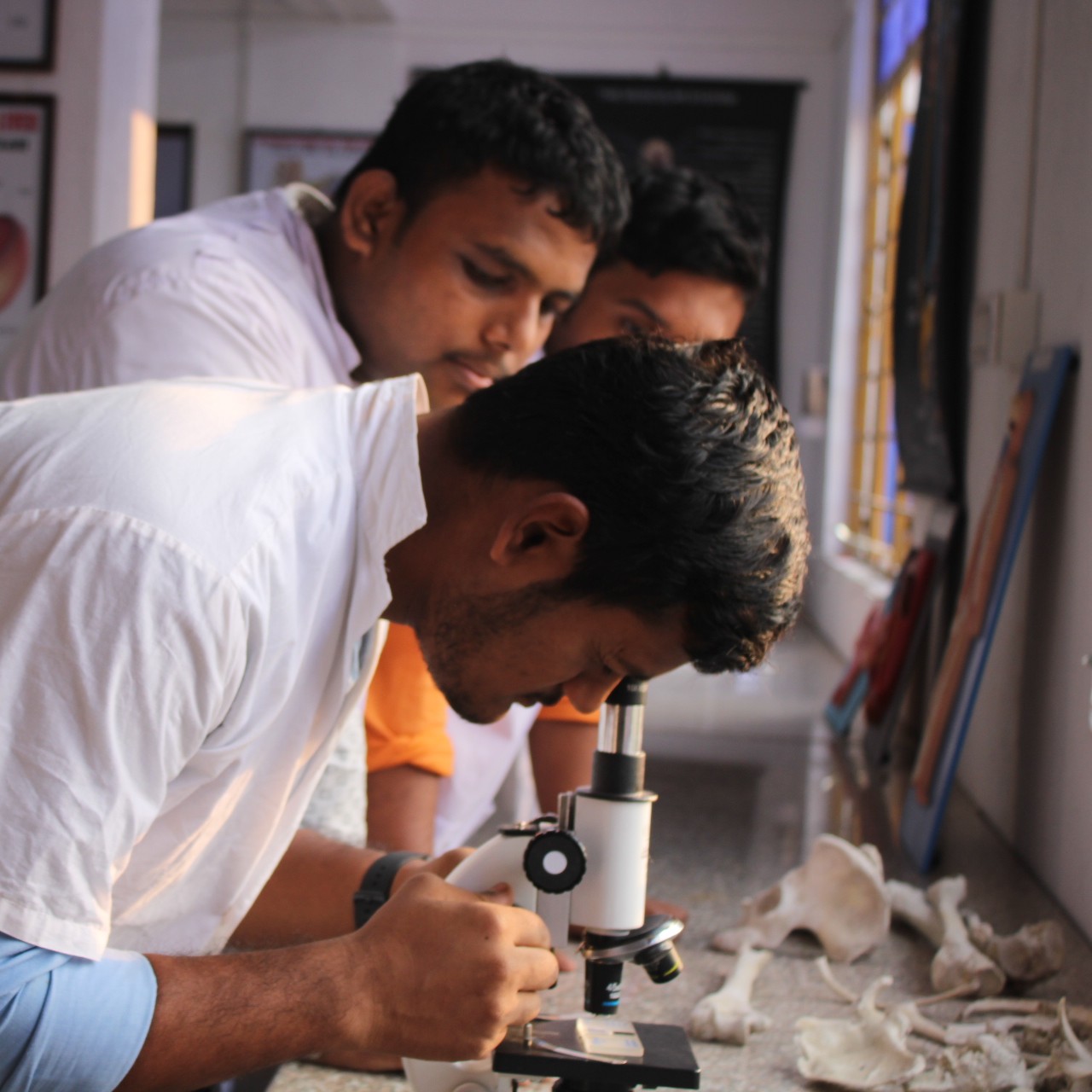 ParamedicalCollege